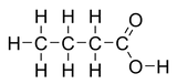 Butyric Acid