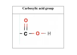 Sin-titulo-1.webp__PID:1375e09e-b5cd-4d44-80dc-24e28c272393