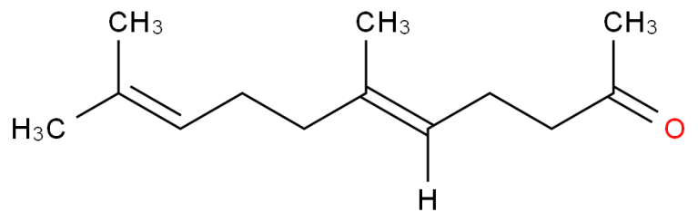 a3.webp__PID:68be922e-4c84-4772-9999-46b22e6c016f