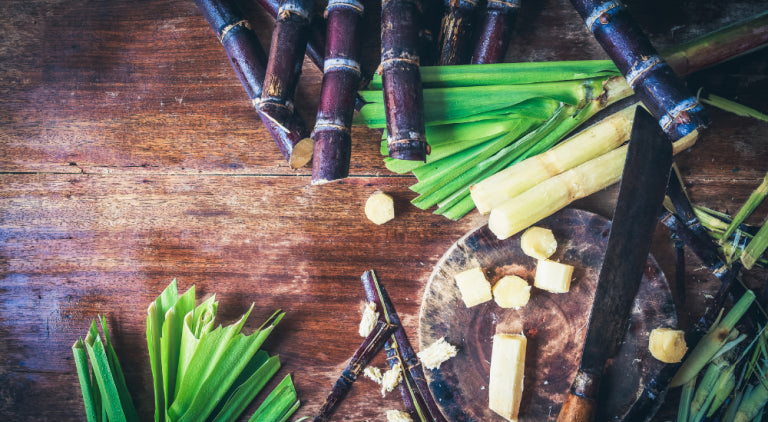 sugar-cane.webp__PID:46161535-6727-4b26-ad73-83c11caf0ad1