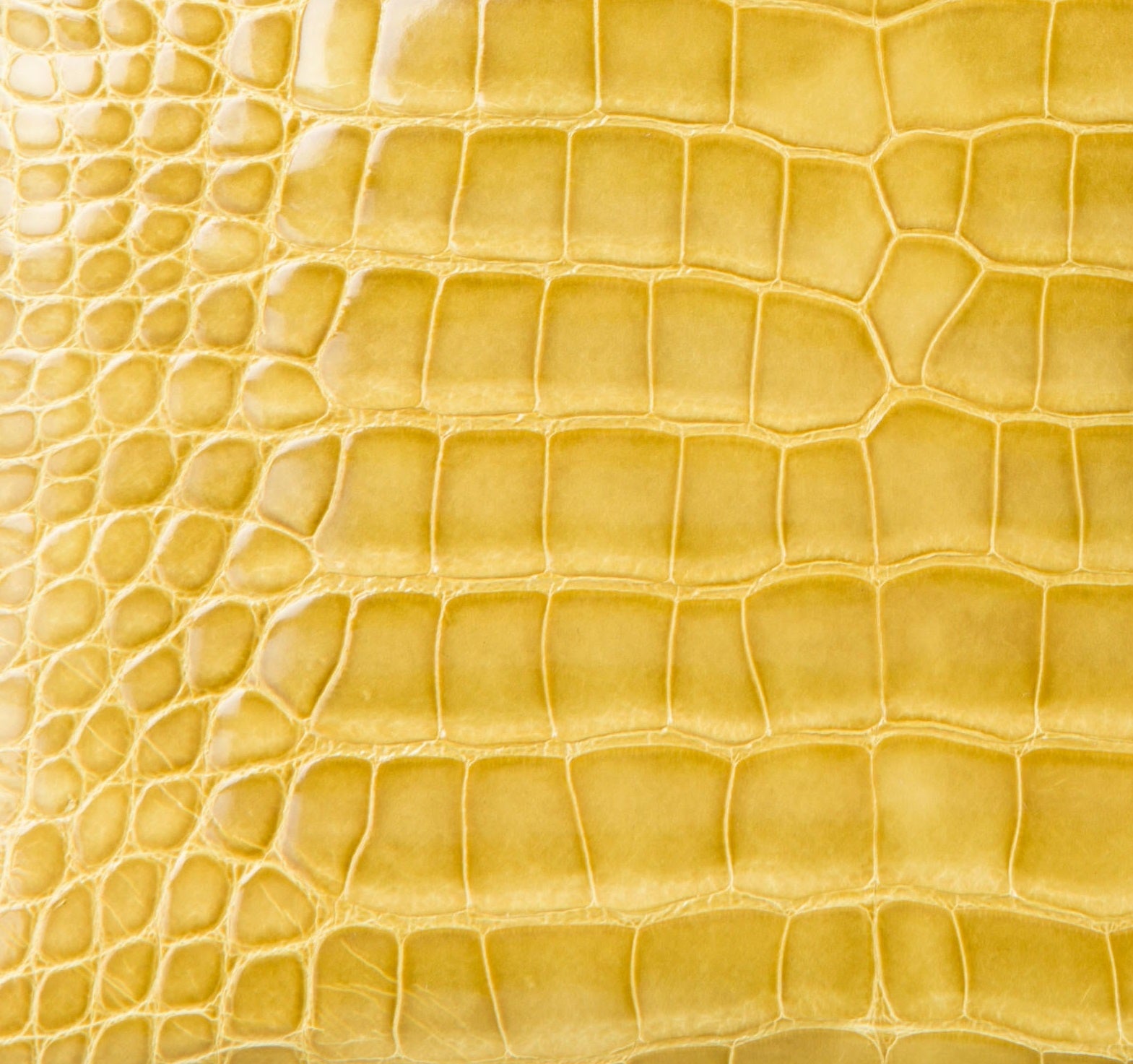Ultimate Dior Leather Guide: What Are Dior Bags Made Of? dior crocodile leather