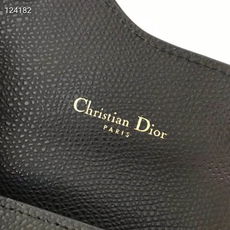 Ultimate Dior Leather Guide: di cosa sono fatte le borse Dior? pelle di capra Dior