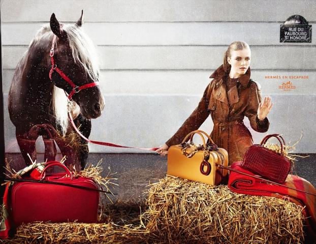 2006 hermes advertising campaign horse