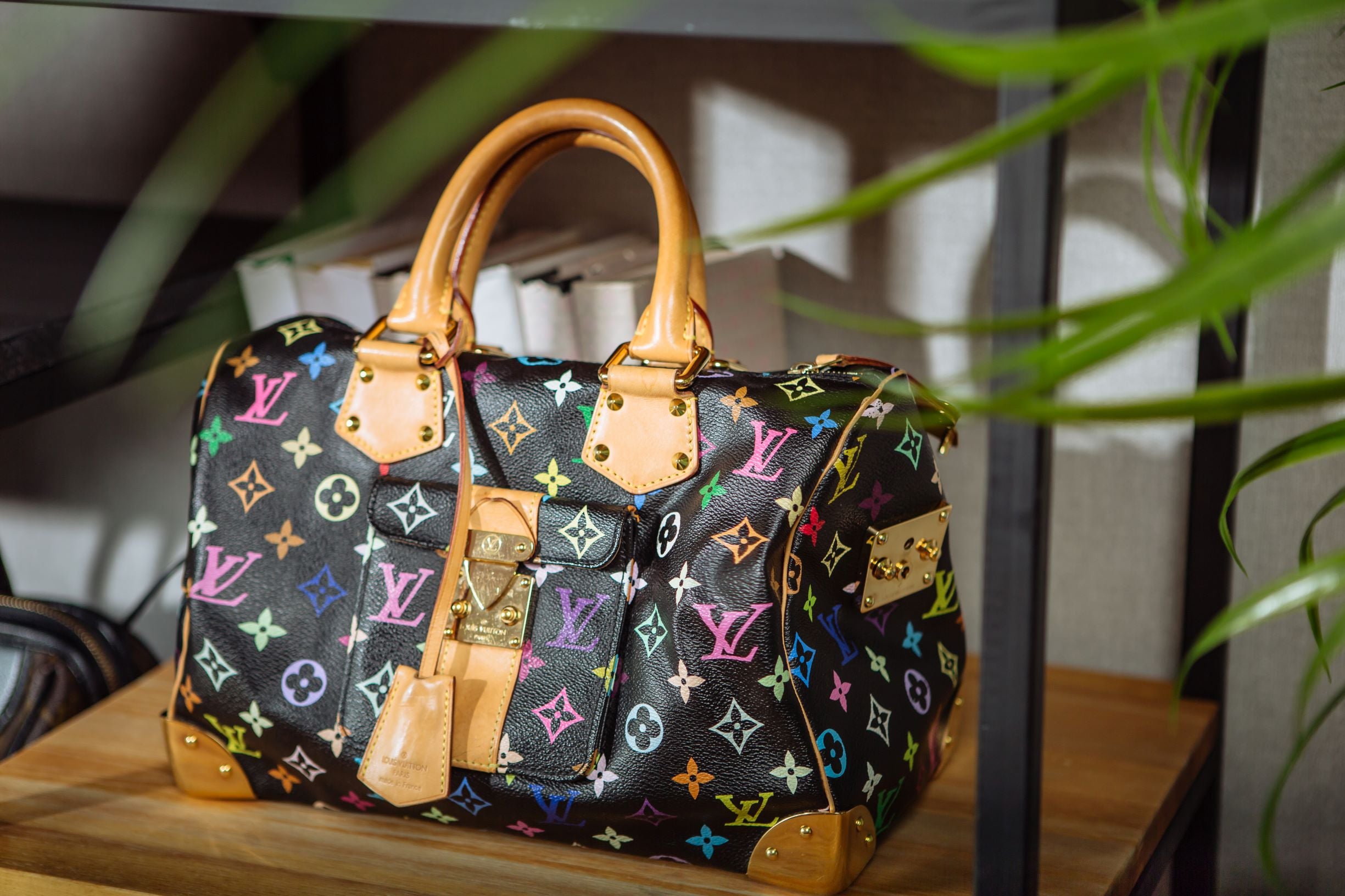 louis vuitton prints multicolor speedy