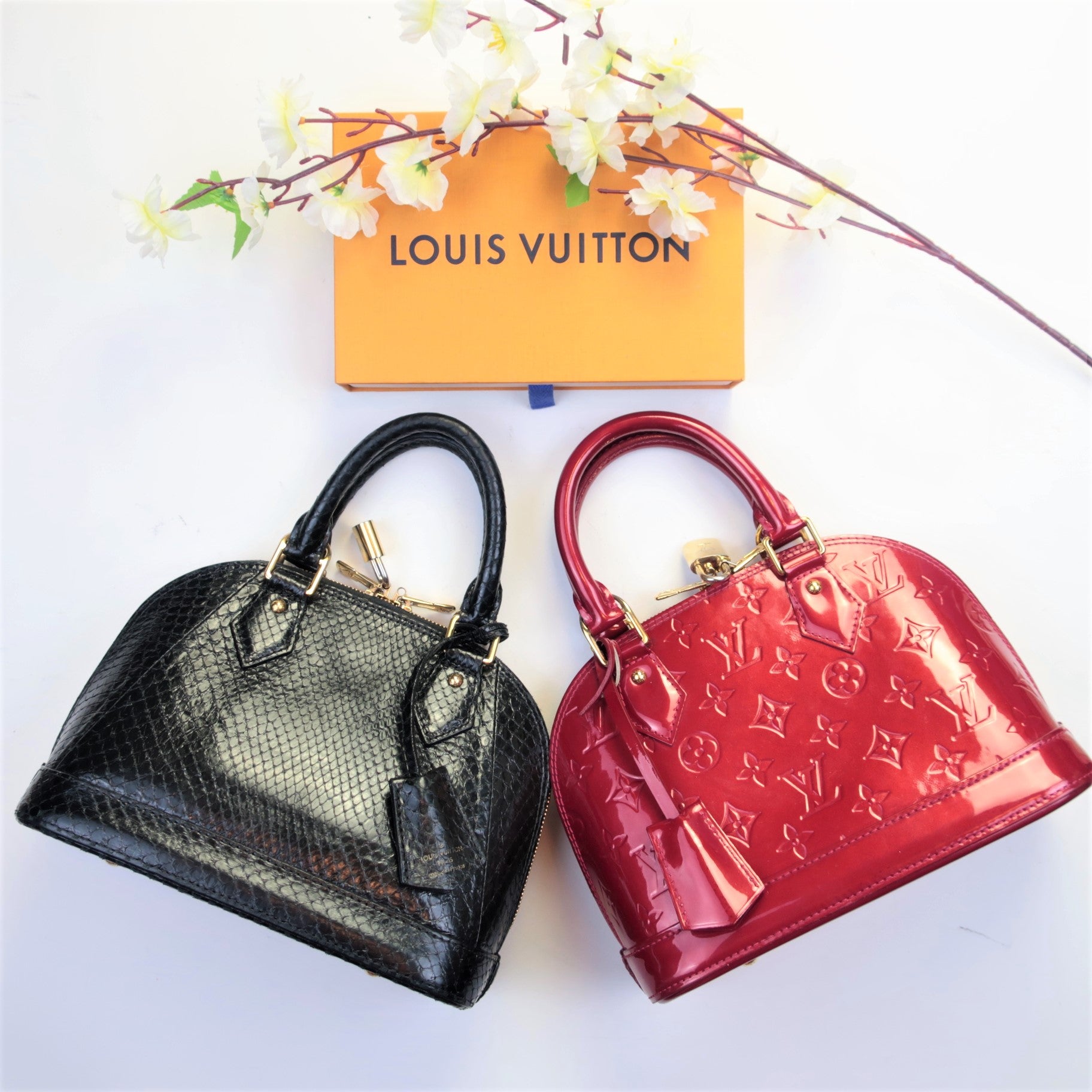 First LV bag - Which one would you pick? (Clockwise L-R: Speedy 20, Diane,  Loop, Alma BB) : r/Louisvuitton