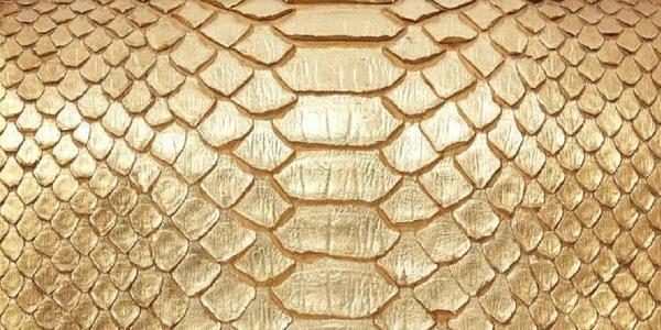 Guía de cuero y material de Chanel Ultimate: ¿Qué cuero Chanel es mejor? Chanel Python Leather