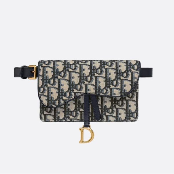 dior Saddle Belt Pouch price