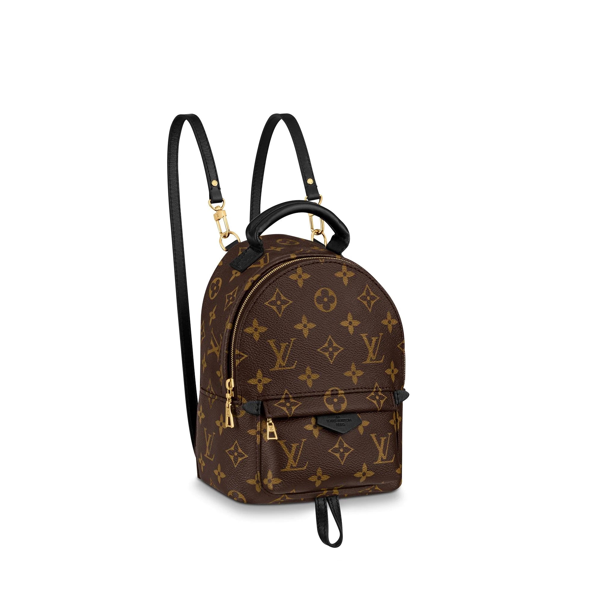 Cuál es la cartera Louis Vuitton perfecta para una mujer moderna? –  Bagaholic