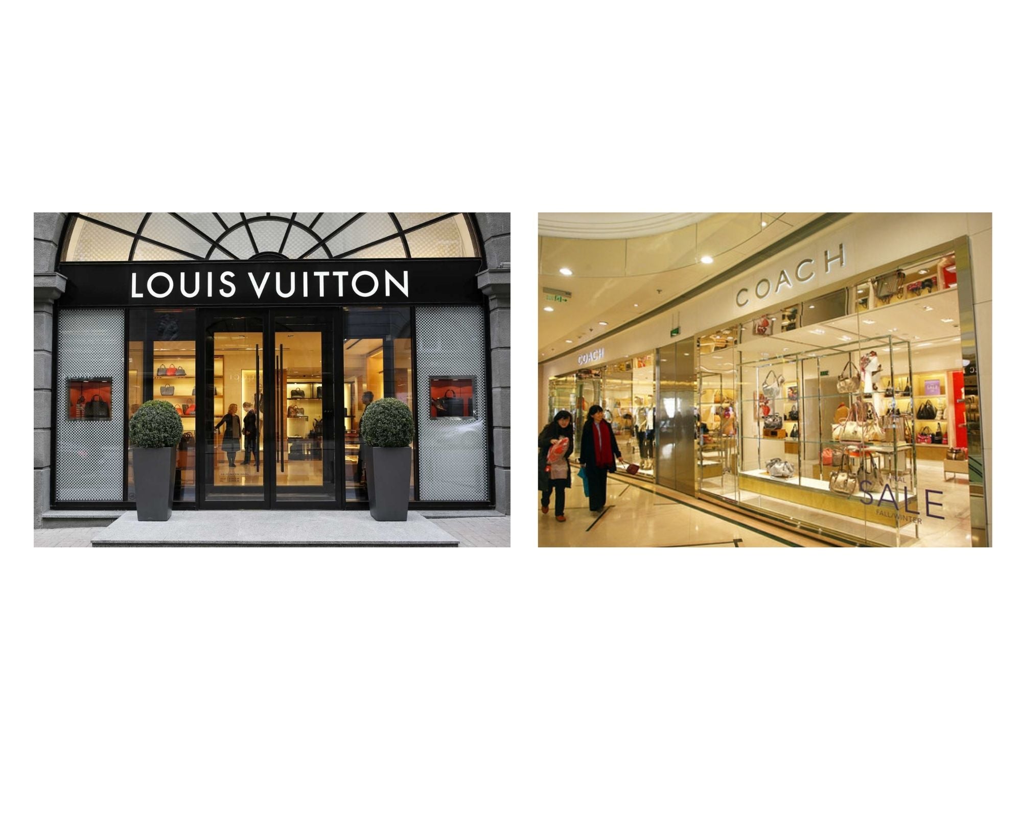 Qué marca es mejor: Louis Vuitton vs Coach donde comprar