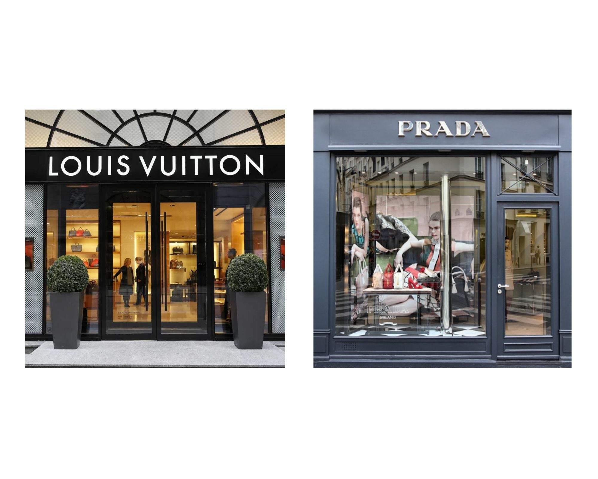 Qué marca es mejor: Louis Vuitton vs Prada donde comprar
