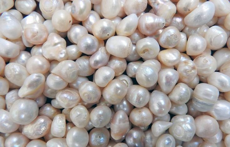 real pearls loose