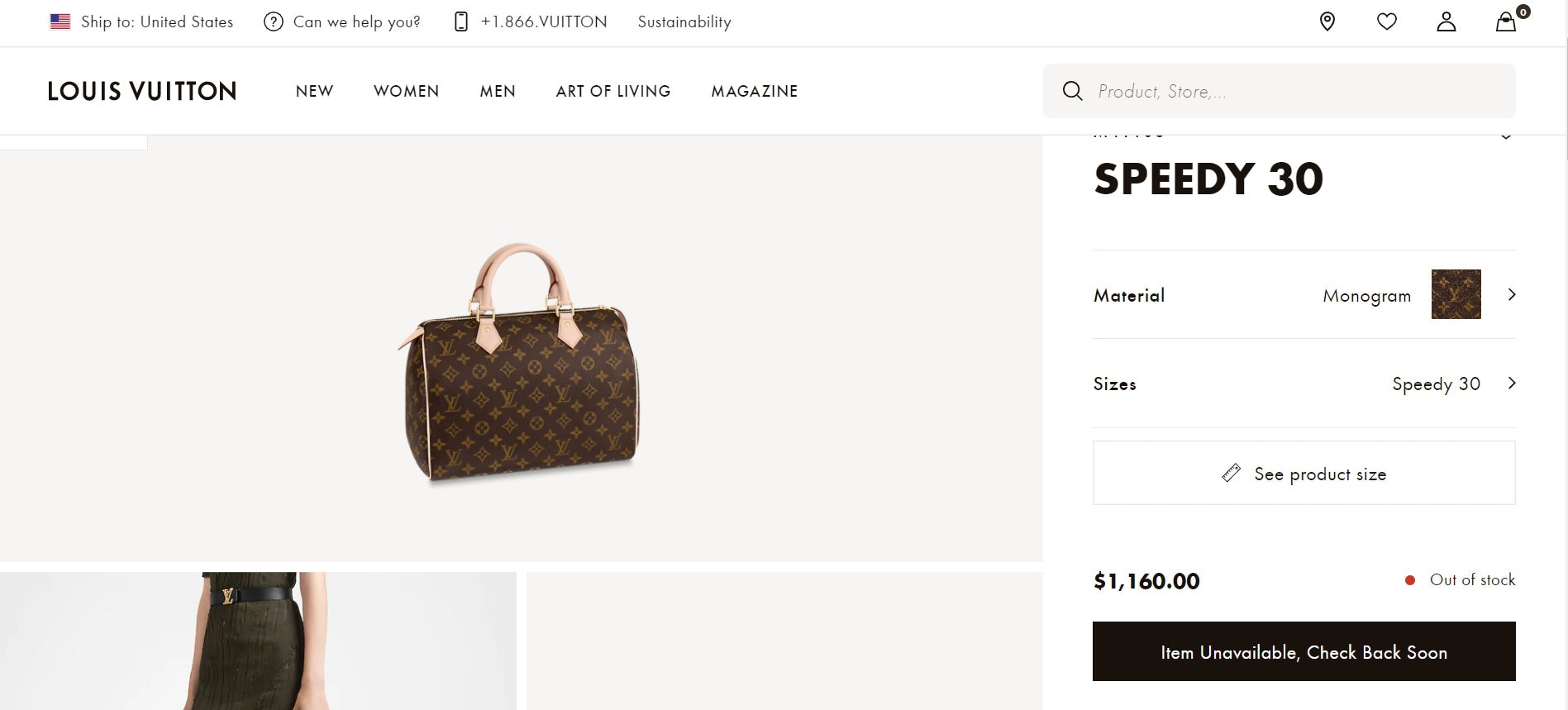 Why Is There Shortage of Louis Vuitton Canvas Items? Louis Vuitton Speedy out of stock