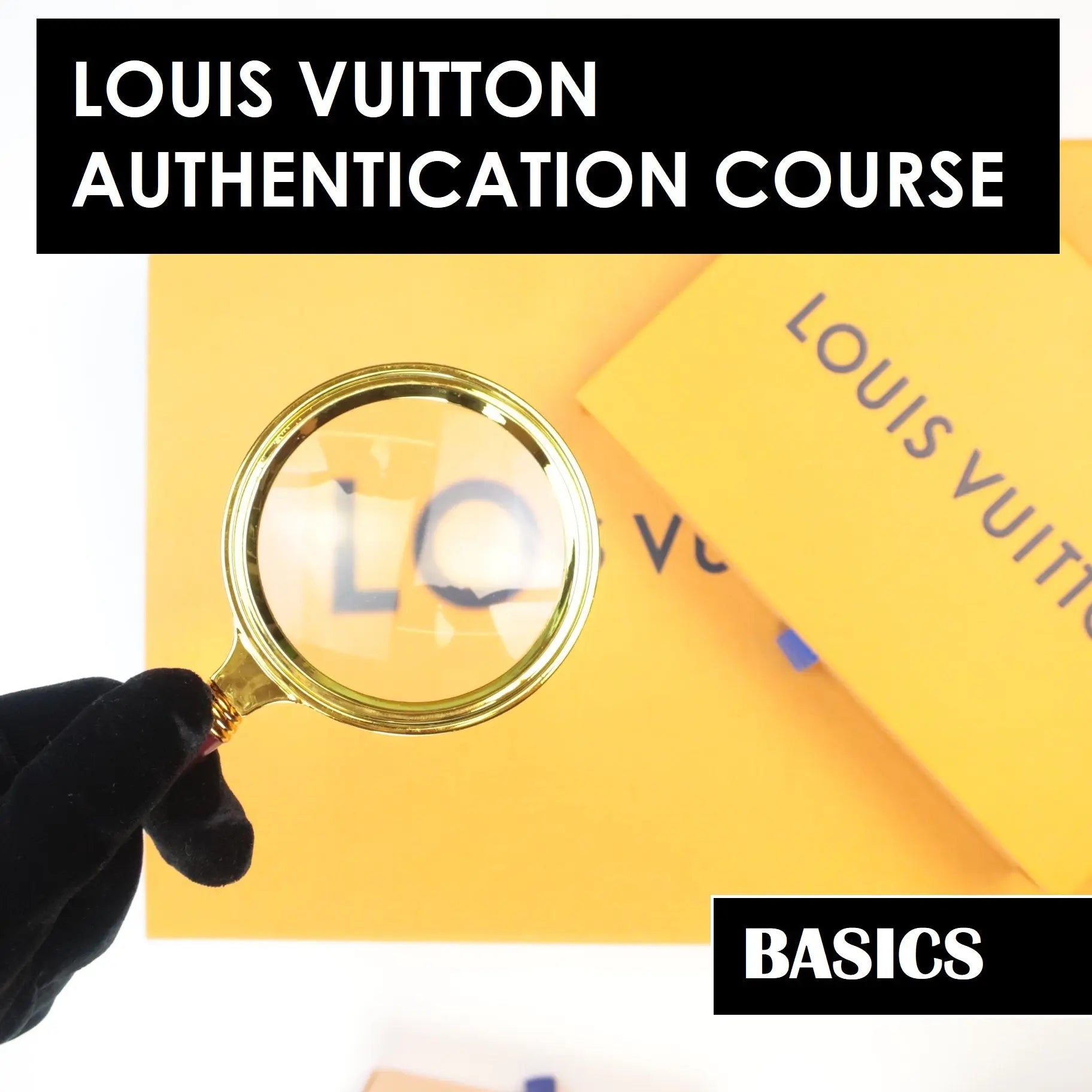 We Authenticate Louis Vuitton - REAL AUTHENTICATION