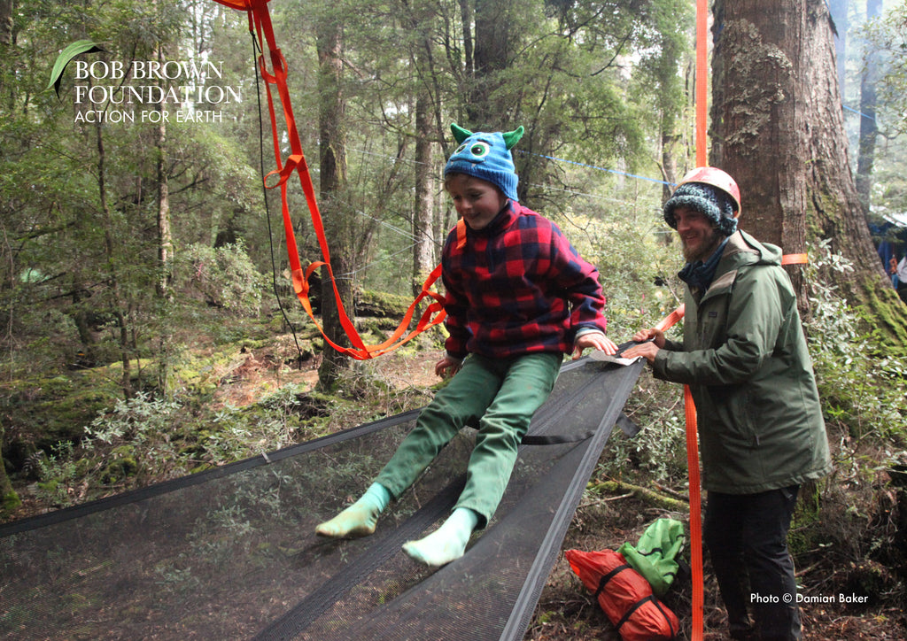 Kid playing in Trillium Hammock in Tarkine rainforest