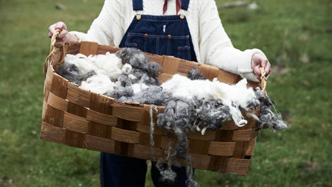 Wolle, nachhaltiger Rohstoff, wenn tierfreundlich gewonnen, in einem Korb. 