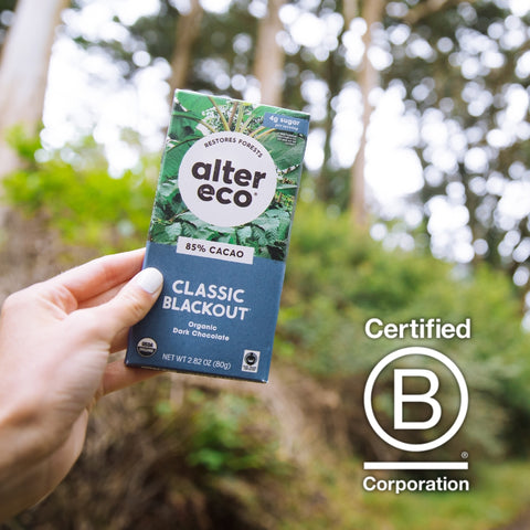 What Is a B Corp and Why Does It Matter