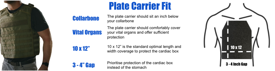 How to fit a plate carrier