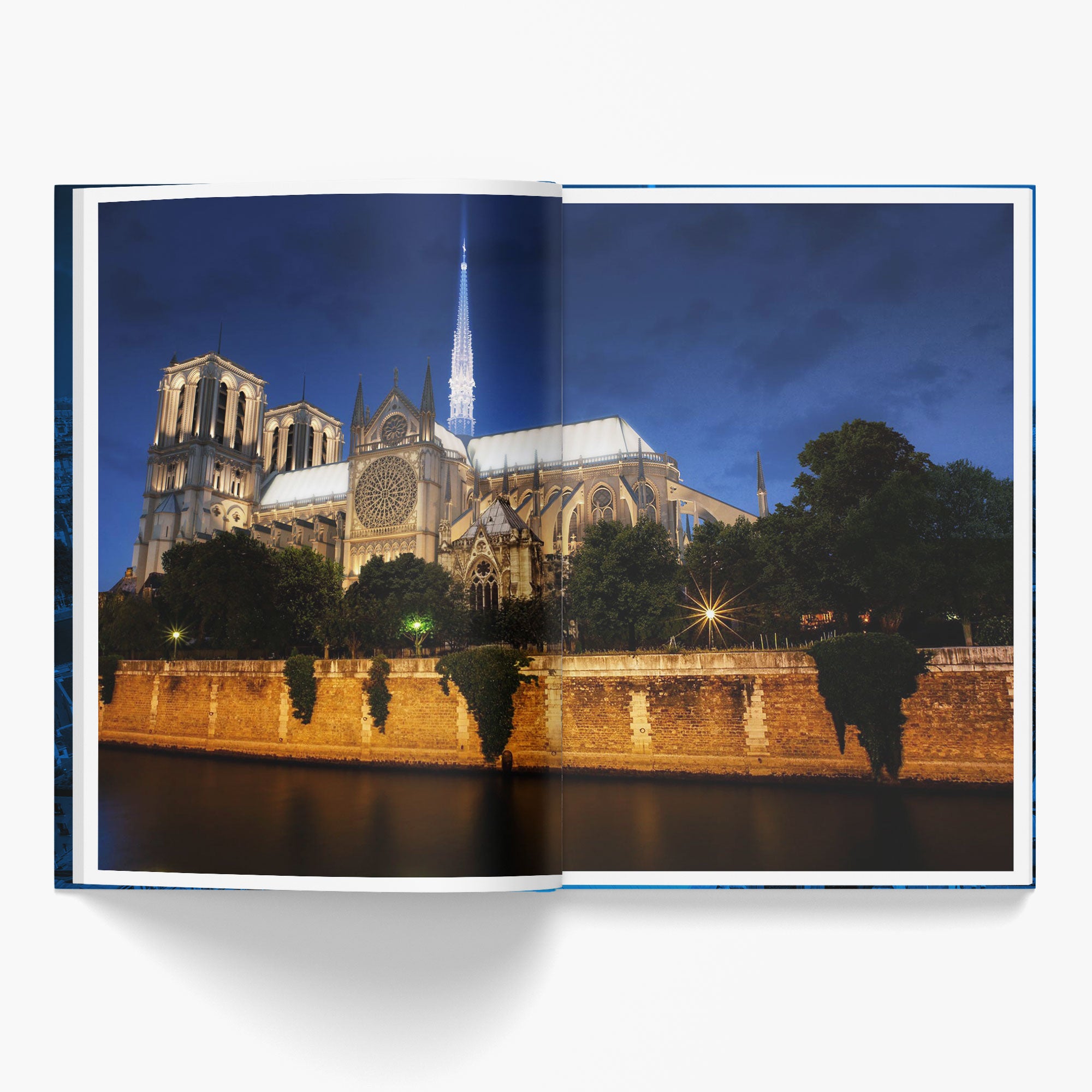 Top 50 Visions Of Notre Dame - 