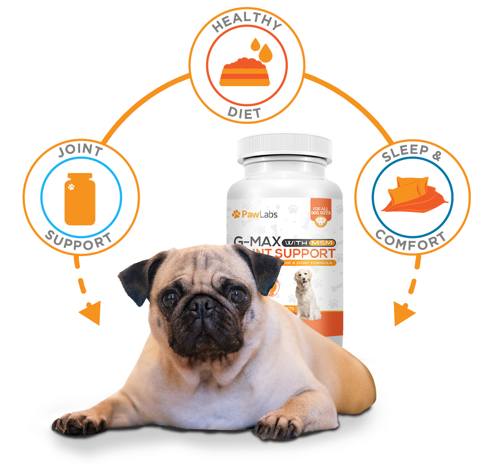 pawlabs gmax joint support
