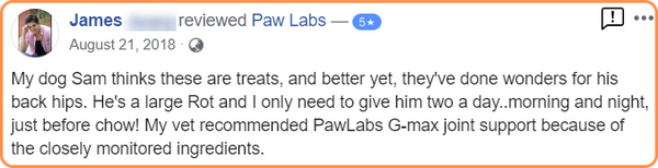 pawlabs gmax joint support
