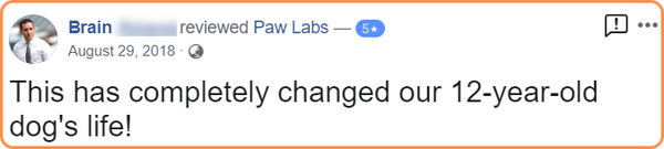 pawlabs gmax joint support