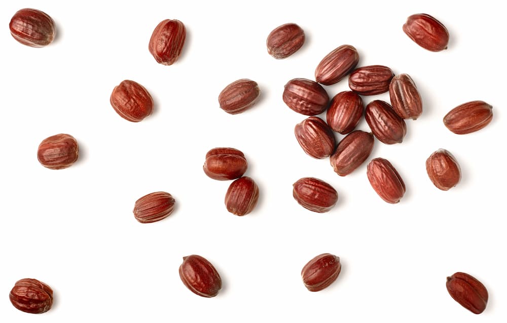 jojoba seeds