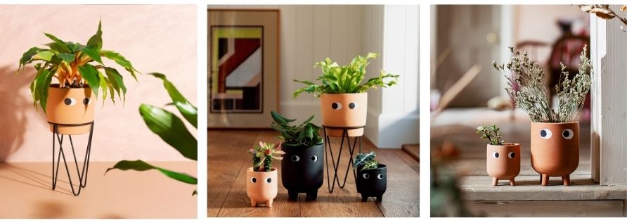 Side Eyes Planters