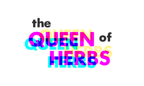 the queen of herbs