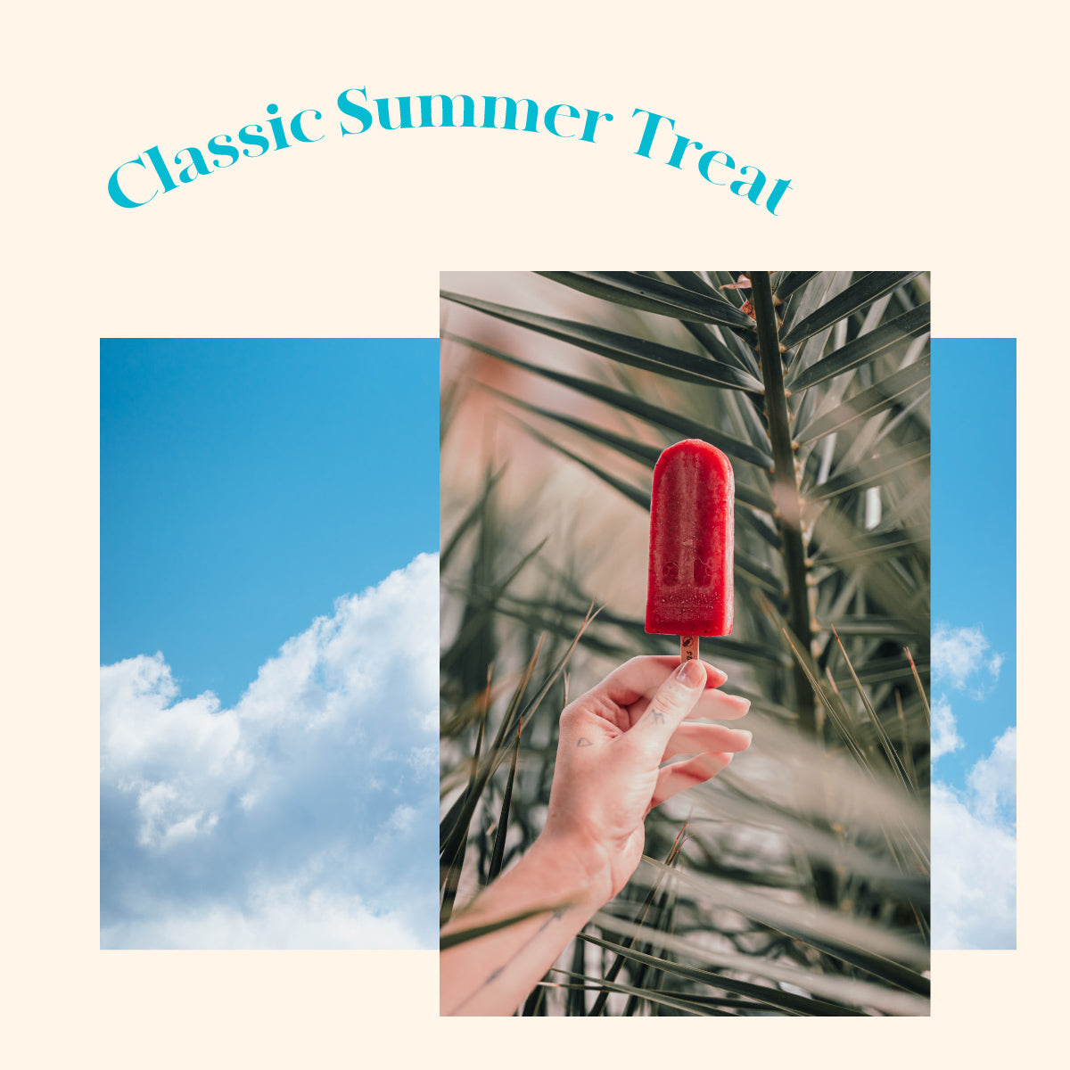 Classic Summer Treat - Pomegranate Hibiscus Iced Pop
