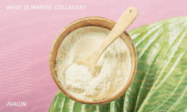 what is marine collagen