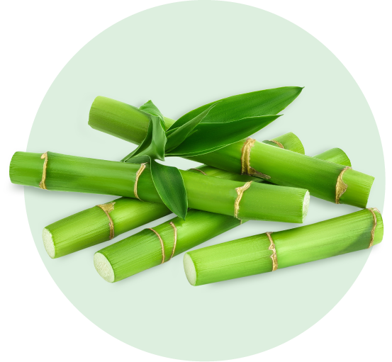 Try Singapore’s 1st Vegan Bamboo Collagen Booster for a more youthful you. AVALON Bamboo Collagen Booster Gummies are made with bamboo extract, Amla extract, Phytoceramide from rice bran, Vegan Hyaluronic Acid, Hydroxyproline, L-Proline, L-Lysine, L-Glycine, Biotin and Vitamin E. Supports your body’s natural collagen production and helps improve skin elasticity, smoothness and hydration. Formulated for daily use, our gummies are sugar-free, contains just 10 calories, cruelty free, allergen free and non-GMO. Suitable for vegans.