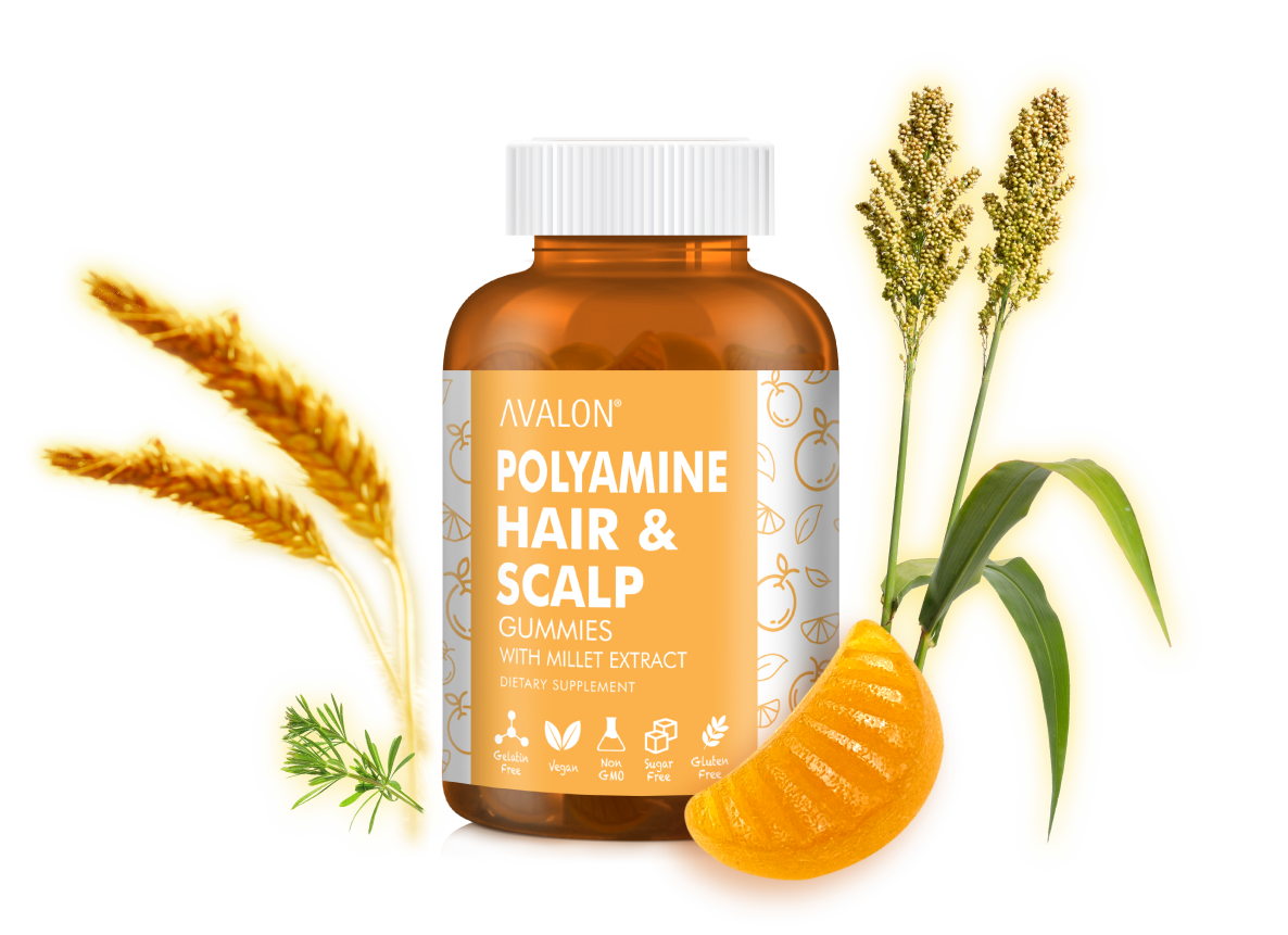 AVALON® Polyamine Hair and Scalp Gummies are made with Wheat Germ Extract 0.2% Spermidine (Polyamine), Horsetail Extract, Millet Extract, Vitamin B5 (Pantothenic Acid), Vitamin B6 (Pyridoxine), Vitamin B12 (Cobalamin), Biotin, Folic Acid, Zinc. Our gummies help promote healthy hair follicles, promote hair growth and volume, support healthy scalp and improve hair texture. Formulated for daily use, our gummies are sugar-free, contain just 15 calories, cruelty free, allergen free and non-GMO. Suitable for vegans.