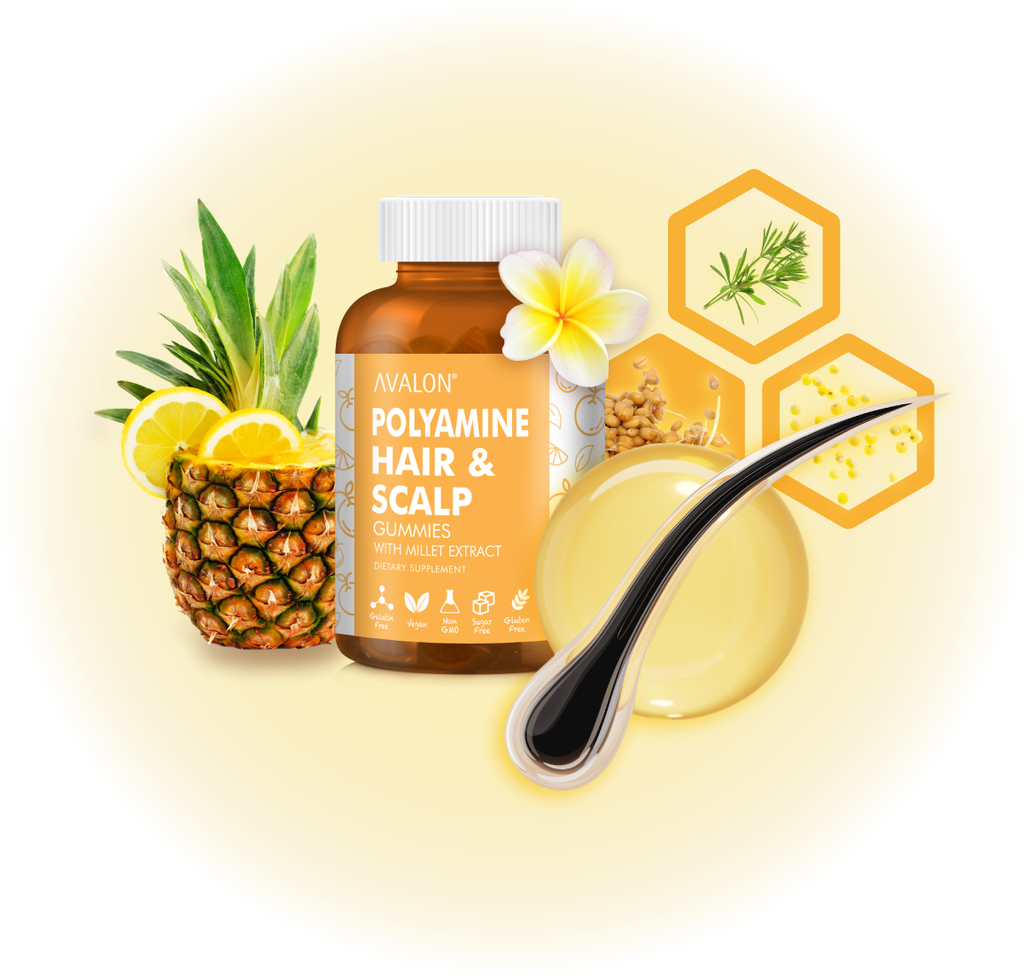 AVALON® Polyamine Hair and Scalp Gummies are made with Wheat Germ Extract 0.2% Spermidine (Polyamine), Horsetail Extract, Millet Extract, Vitamin B5 (Pantothenic Acid), Vitamin B6 (Pyridoxine), Vitamin B12 (Cobalamin), Biotin, Folic Acid, Zinc. Our gummies help promote healthy hair follicles, promote hair growth and volume, support healthy scalp and improve hair texture. Formulated for daily use, our gummies are sugar-free, contain just 15 calories, cruelty free, allergen free and non-GMO. Suitable for vegans.