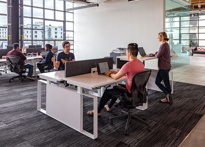 Soylent innovation lab tenants collaborating in their new work space