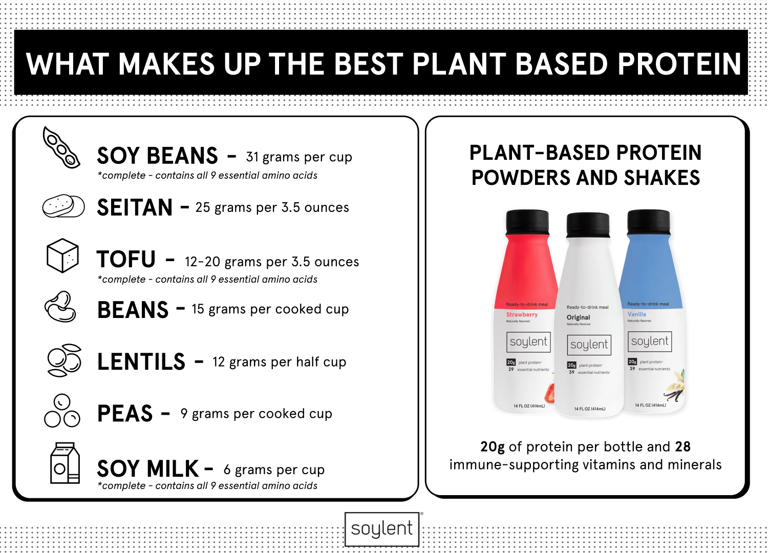 What Makes Up the Best Plant-Based Protein