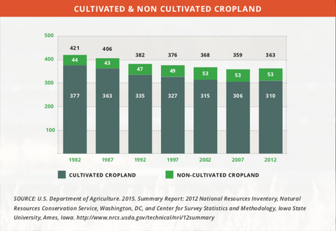 Cultivated and non-cultivated crop land