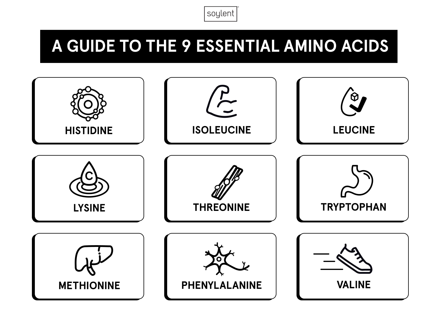 A Guide to the 9 Essential Amino Acids infographic by Soylent