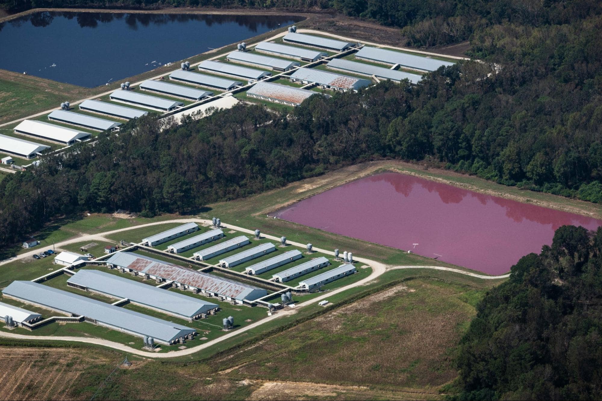 Aerial view of a CAFO farm surrounded by floodwaters in Duplin County. North Carolina, USA