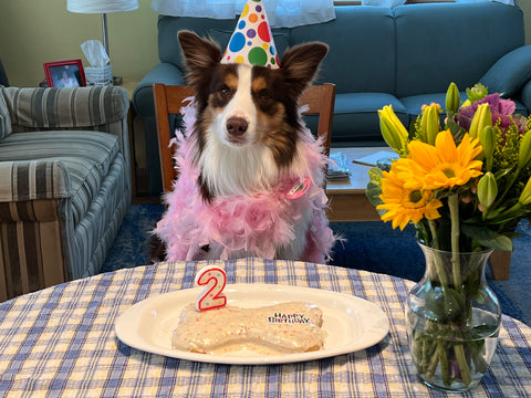 Mooshie's second birthday!