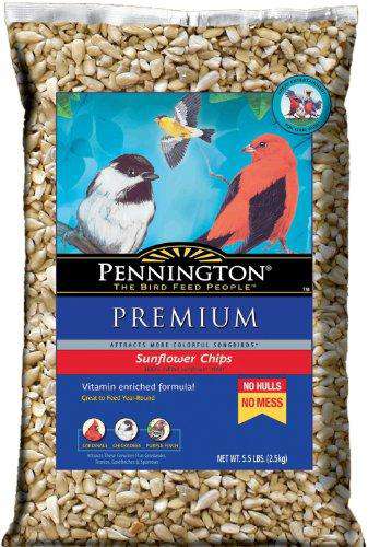 pennington sunflower chips