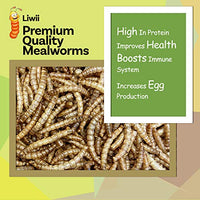 
              Liwii Dried Mealworms 11 LBS 100% Natural Non GMO
            
