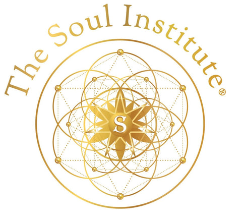 The Soul Institute - Health & Wellness Books - My Spa Shop