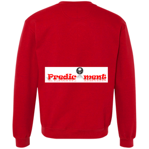 heavyweight crewneck sweatshirt