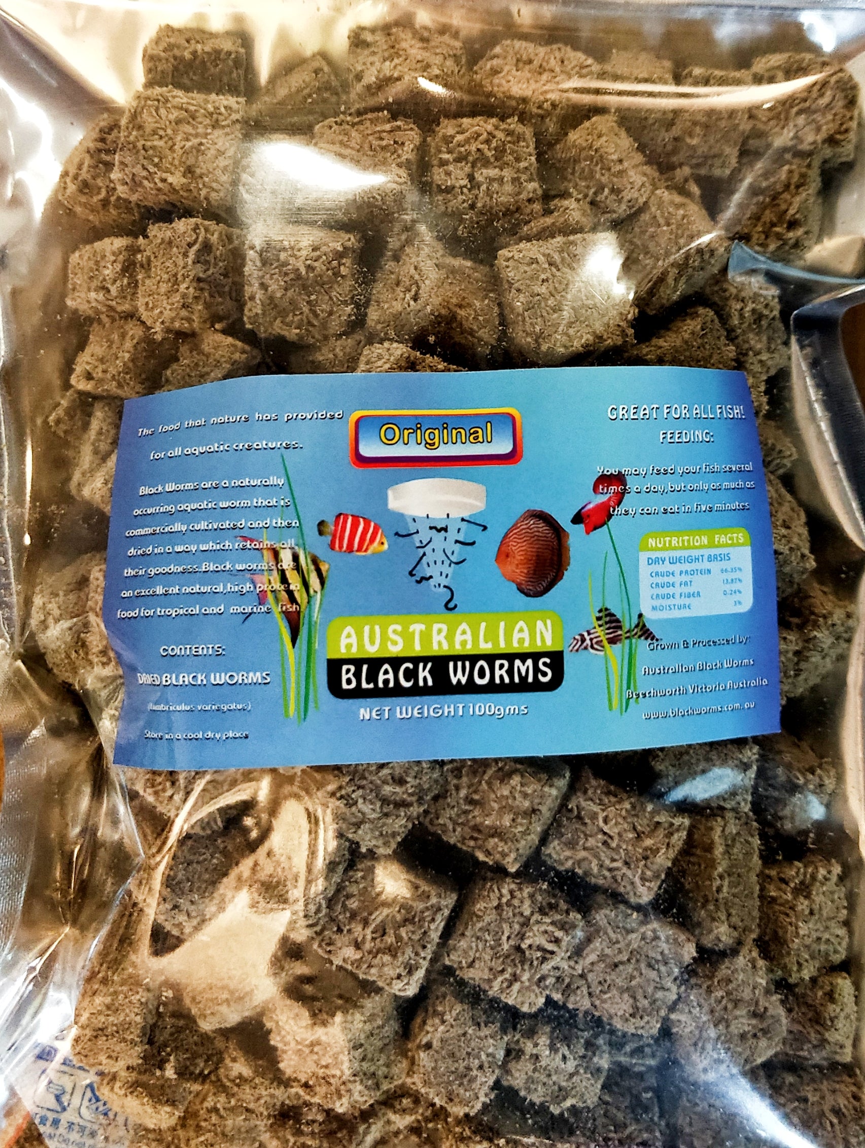 antenne bille Inspicere Australian Black Worms - Original (Cube) – ivenbetta