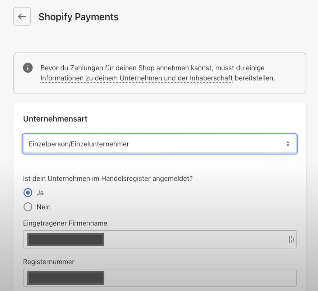 Shopify Payments Geschäftsdaten eingeben