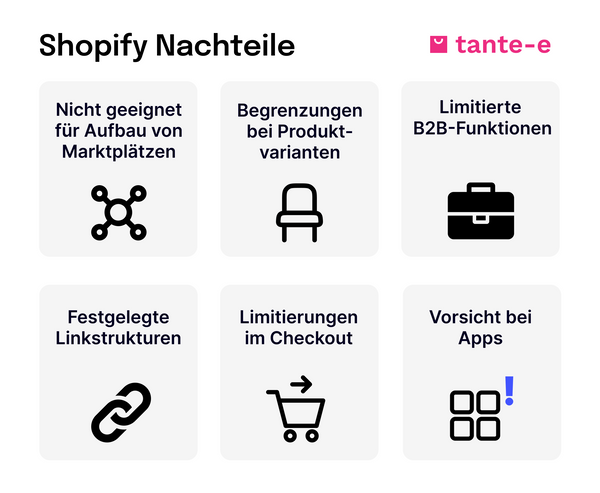 Shopify Nachteile Infografik