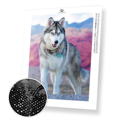 Schnauzer Dog - Premium Diamond Painting Kit