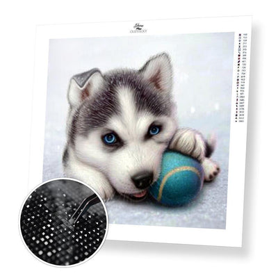 Schnauzer Dog - Premium Diamond Painting Kit