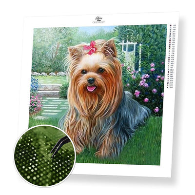 Schnauzer Dog - Premium Diamond Painting Kit