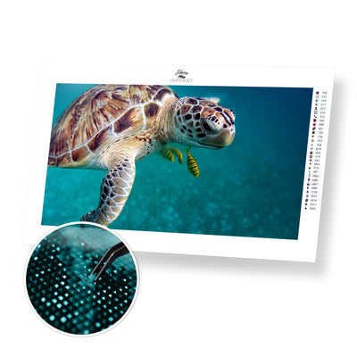 Swimming Sea Turtle - Premium Diamond Painting Kit – Home Craftology